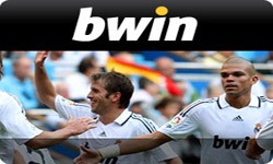 В отборочных играх ЕВРО 2012 Россия идет первой или что предлагает Bwin