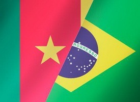ЧМ по футболу. Группа А. Камерун - Бразилия. Прогноз на 23.06.14