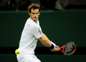 Теннис. IPTL. Энди Маррей — Томаш Бердых, Прогноз на 30.11.14