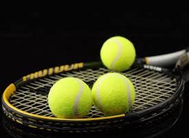 Теннис. ITF Сантьяго. Бастиан Малья — Максим Аму. Прогноз на матч 26.12.14