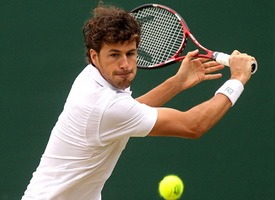 Теннис. ATP 250. Марсель. Робин Хаазе — Вашек Поспишил. Прогноз на матч 17.02.15