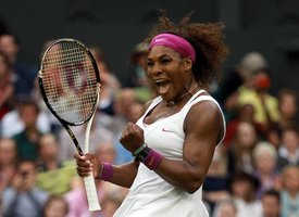 Теннис. Нью-Йорк. US Open 2015. Серена Уильямс — Винус Уильямс. Прогноз на матч 08.09.2015