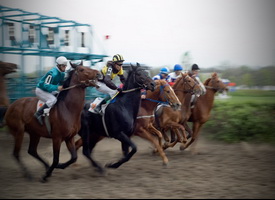 Регулятор конного спорта вводит новые правила для букмекеров Великобритании