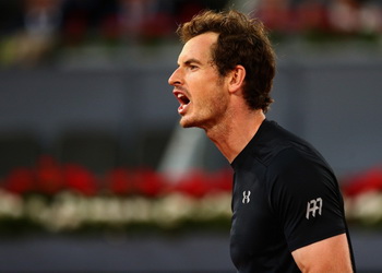 Томаш Бердых — Энди Маррей: чемпион защищает титул Madrid Open