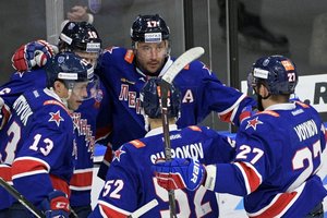 Медведев прокомментировал успехи хоккейного клуба СКА