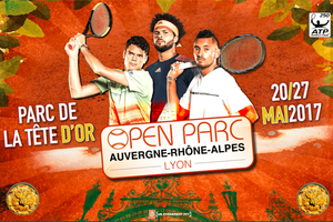 ATP. Lyon Open. Доминик Тим – Роберто Карбальес-Баэна. Превью к матчу 22.05.18