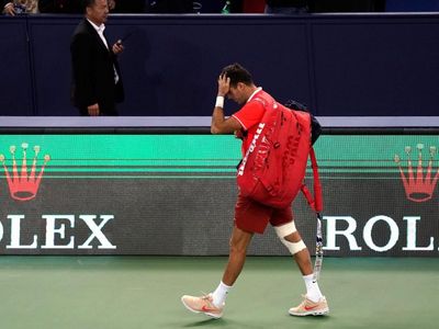 Итоги недели в теннисе: Джокович обогнал Федерера, Дель Потро не сыграет на итоговом турнире из-за травмы
