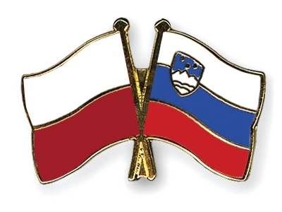 Отбор на Евро-2020. Польша - Словения. Прогноз от экспертов на матч 19 ноября 2019 года