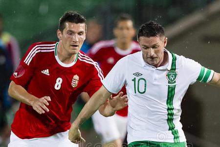 Товарищеский матч Венгрия - Ирландия. Прогноз на 8 июня 2021 года