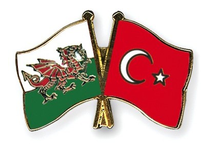 Отбор на Евро-2024. Уэльс – Турция. Прогноз на матч 21 ноября 2023 года: ждем обилия голов в Кардиффе