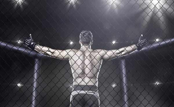 Как анализировать статистику ударов в ММА для ставок — полное руководство