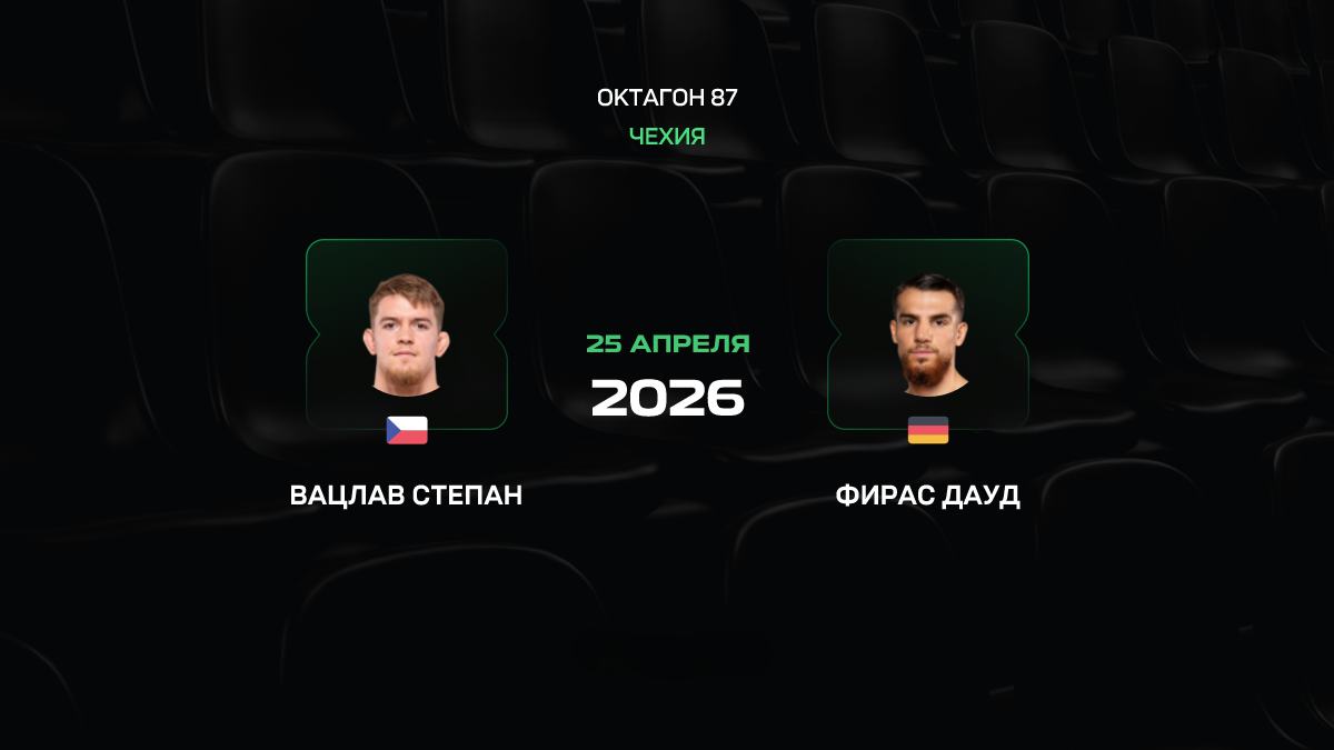 Штепан – Дауд прогноз 25 апреля 2026: небитые проспекты сойдутся в Либереце